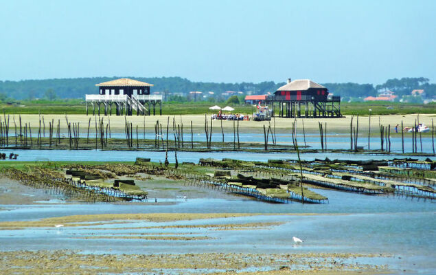 Villa Béatrice - Photo 19
