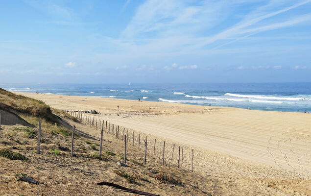 Dune Blanche - Photo 22