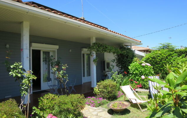 Mandarine - Photo 15