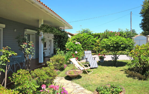 Mandarine - Photo 16