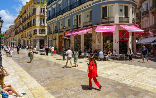 Malaga Pacifico - Photo 29