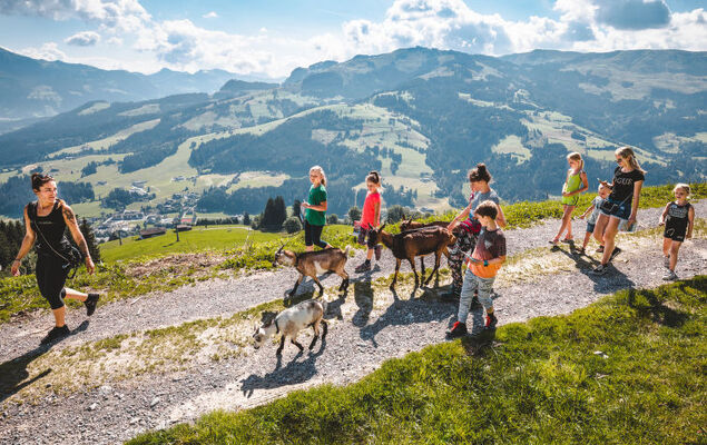Appartement Erwin - Photo 20