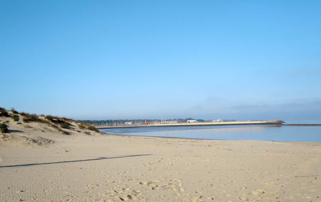 Les Alcyons T3 - Photo 33