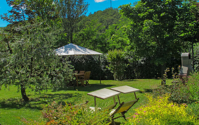 Corbezzolo - Photo 6