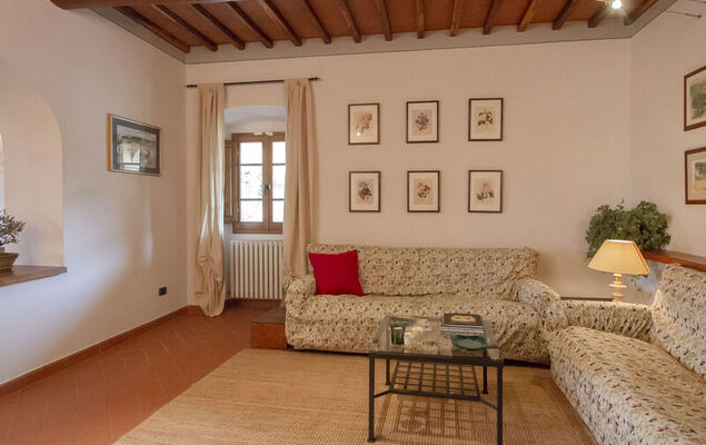 Corbezzolo - Photo 11