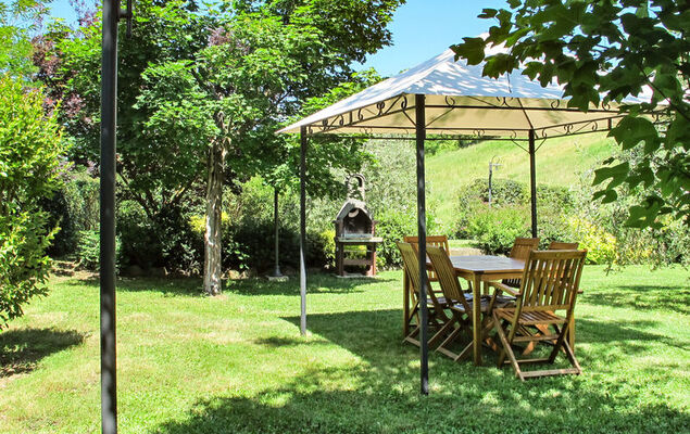 Corbezzolo - Photo 23