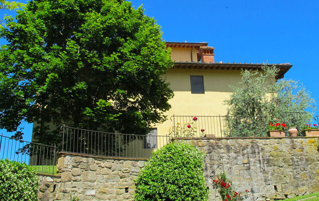 Corbezzolo - Photo 24