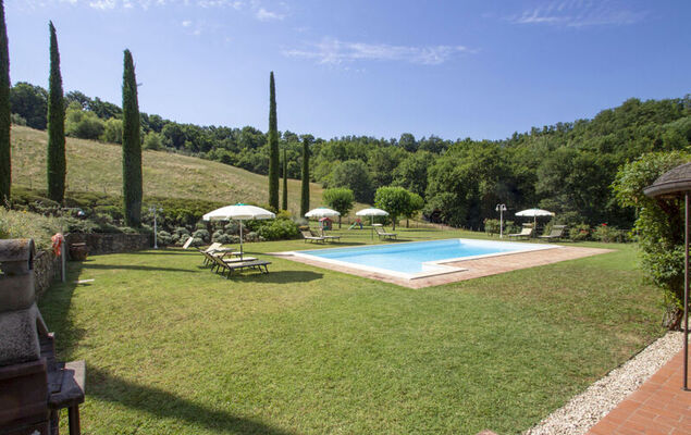 Corbezzolo - Photo 26