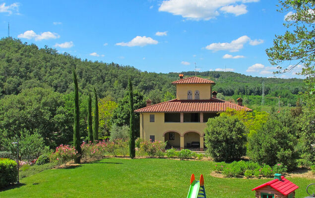 Corbezzolo - Photo 27