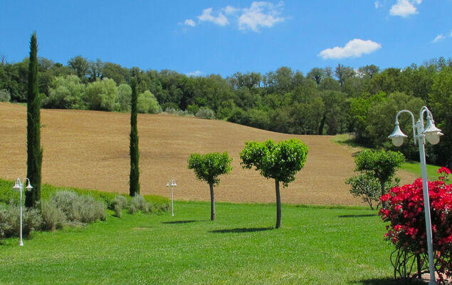 Corbezzolo - Photo 28