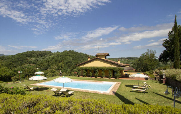 Corbezzolo - Photo 30