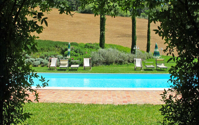 Corbezzolo - Photo 34