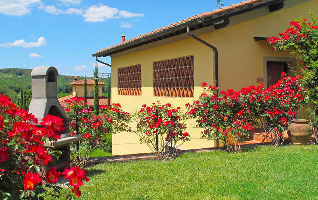 Corbezzolo - Photo 38