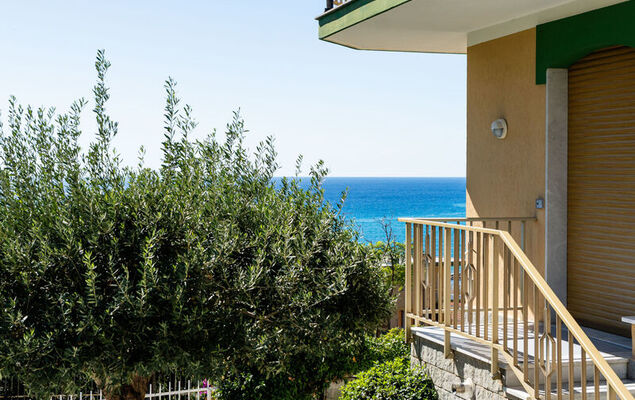 in the Garden - Photo 19