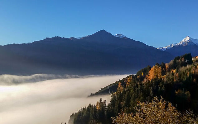 Dr.Steiner - Photo 35