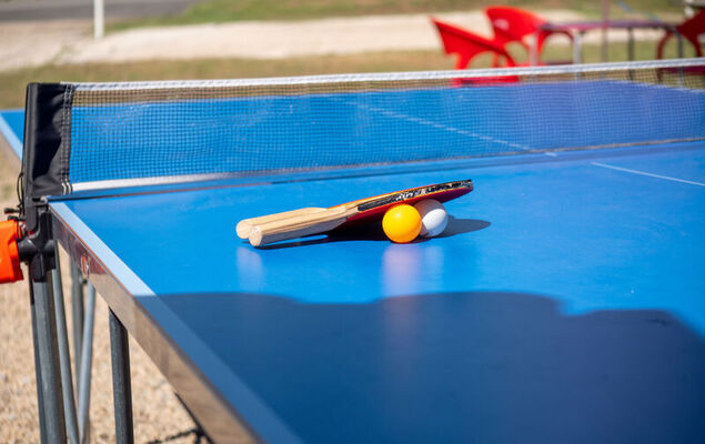 Les Hameaux de La Chalosse - Photo 26