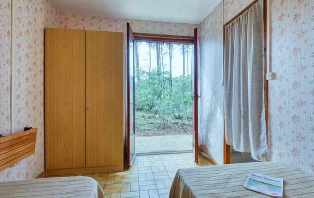 Les Sylvaines - Photo 17