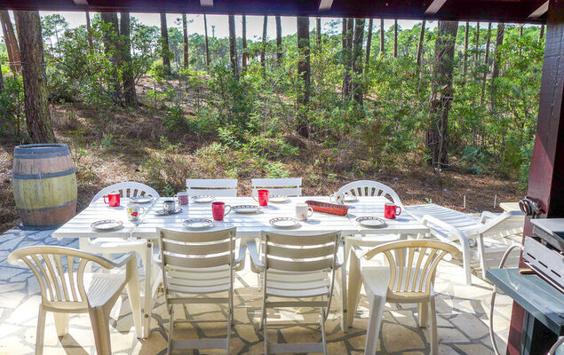 Les Sylvaines - Photo 21