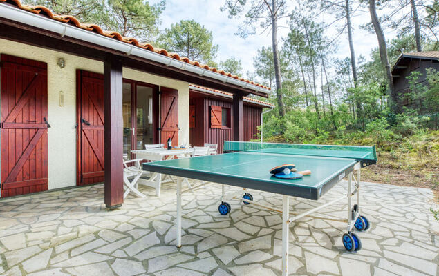 Les Sylvaines - Photo 23