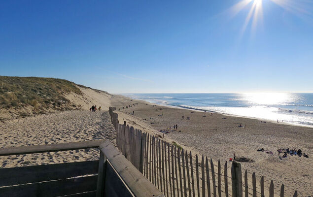 Les Sylvaines - Photo 24