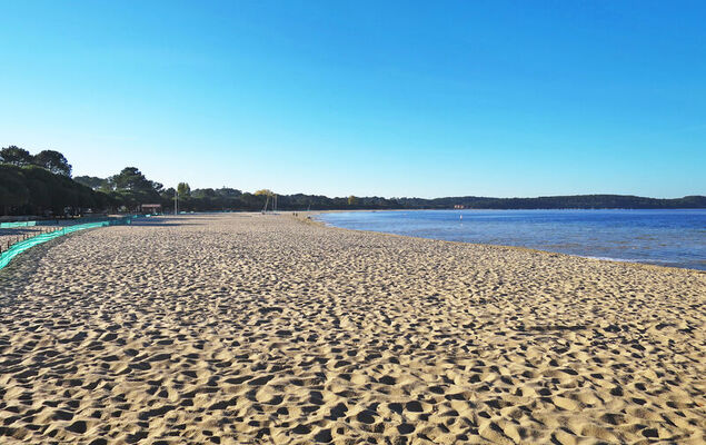 Les Sylvaines - Photo 27