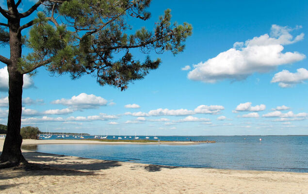 Les Sylvaines - Photo 29