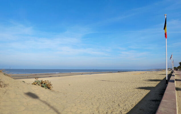 Petite Ensouleihado - Photo 25