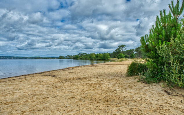 Les Terrasses de l'Atlantique - Photo 23